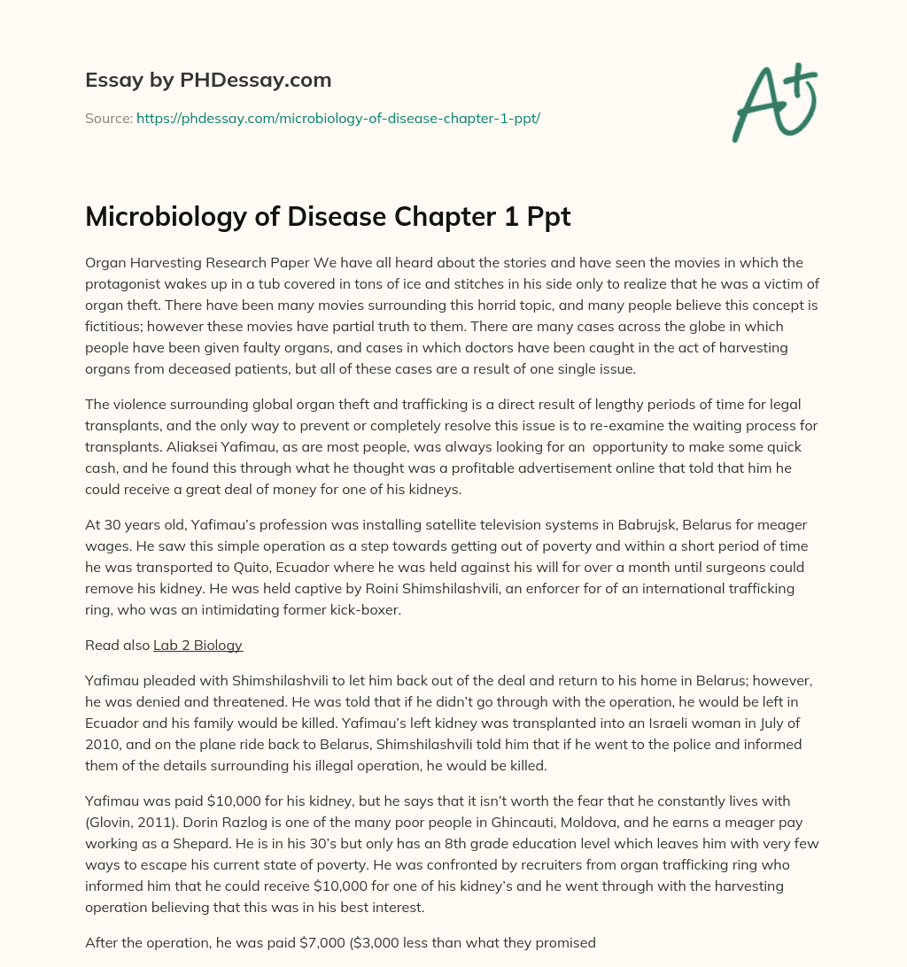 Microbiology of Disease Chapter 1 Ppt essay