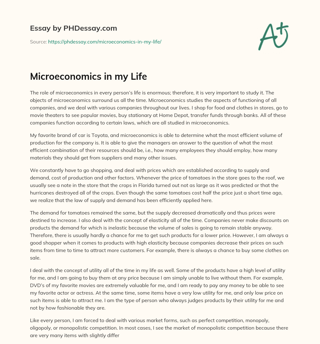 Microeconomics in my Life essay