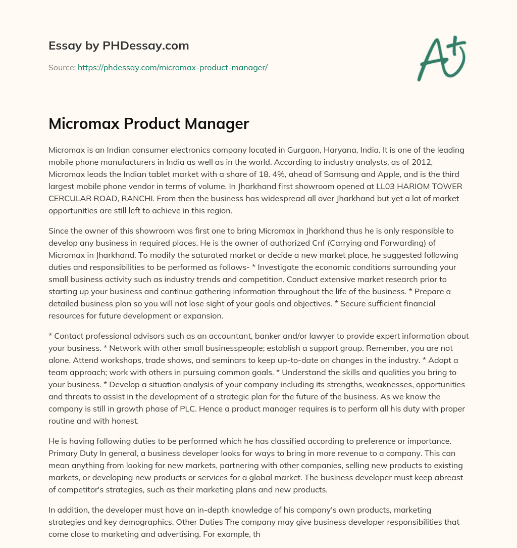 Micromax Product Manager essay