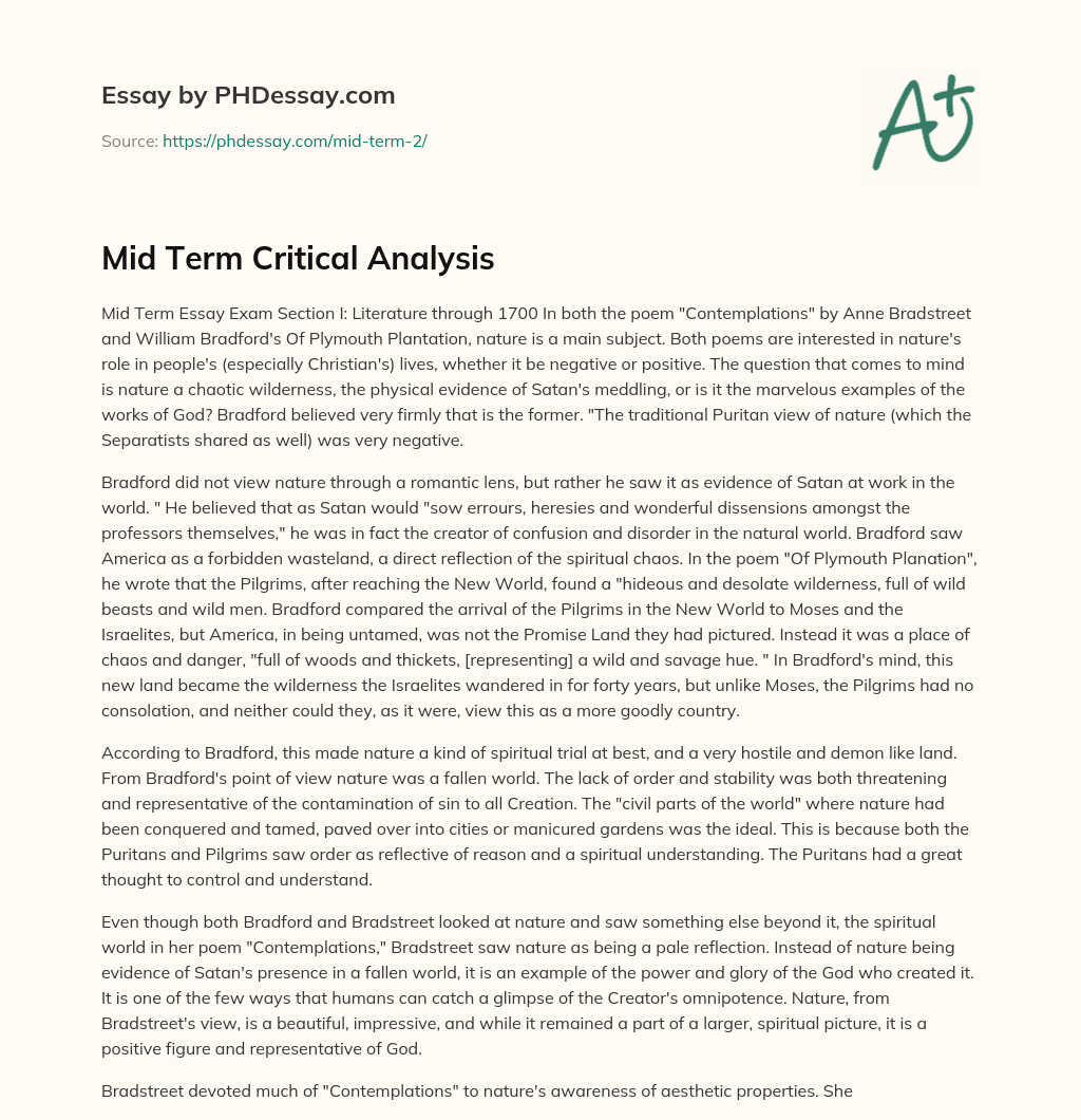 Mid Term Critical Analysis essay
