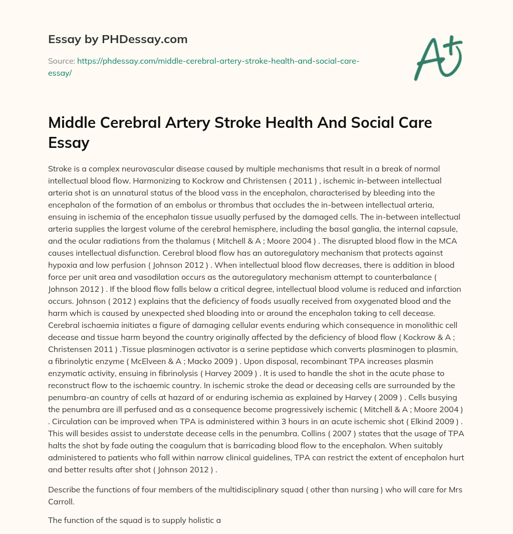 Middle Cerebral Artery Stroke Health And Social Care Essay essay