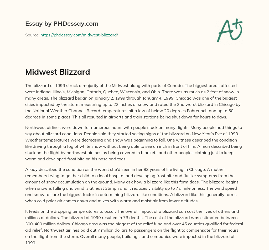 Midwest Blizzard essay