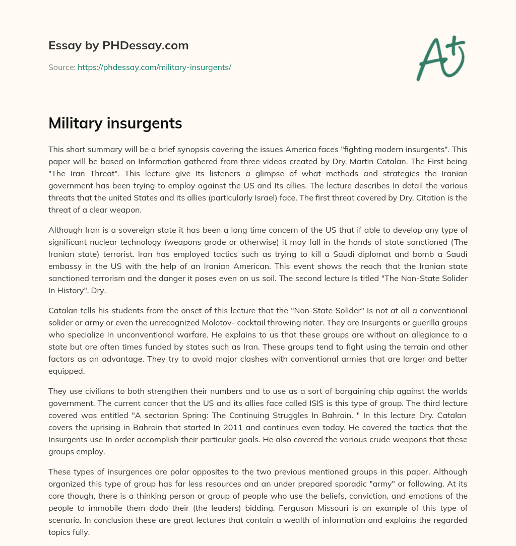 Military insurgents essay
