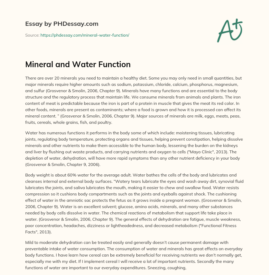 Mineral and Water Function essay