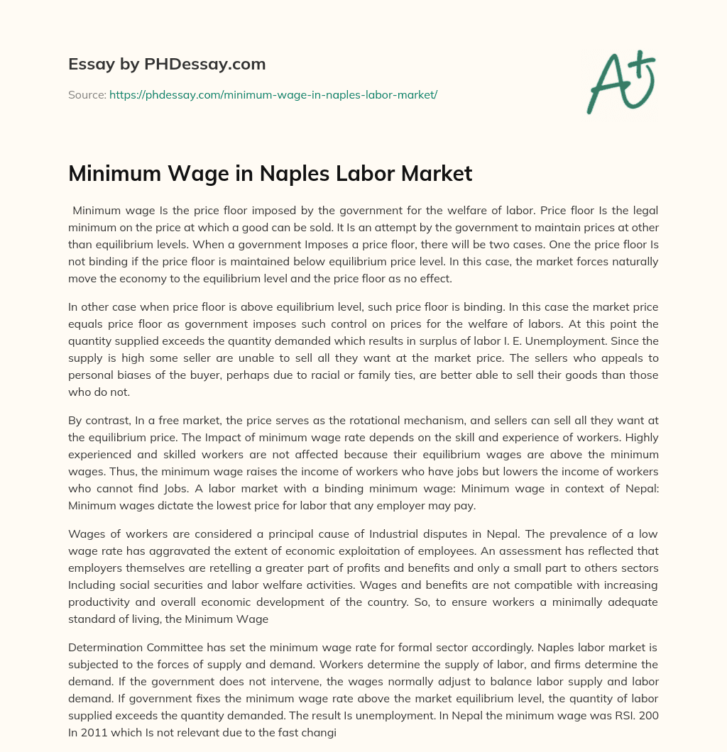 Minimum Wage in Naples Labor Market essay