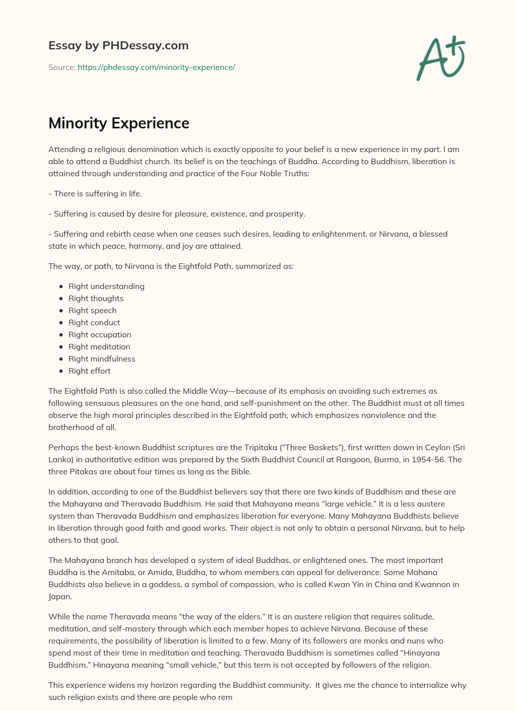 Minority Experience essay