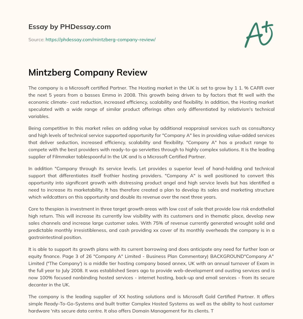 Mintzberg Company Review essay