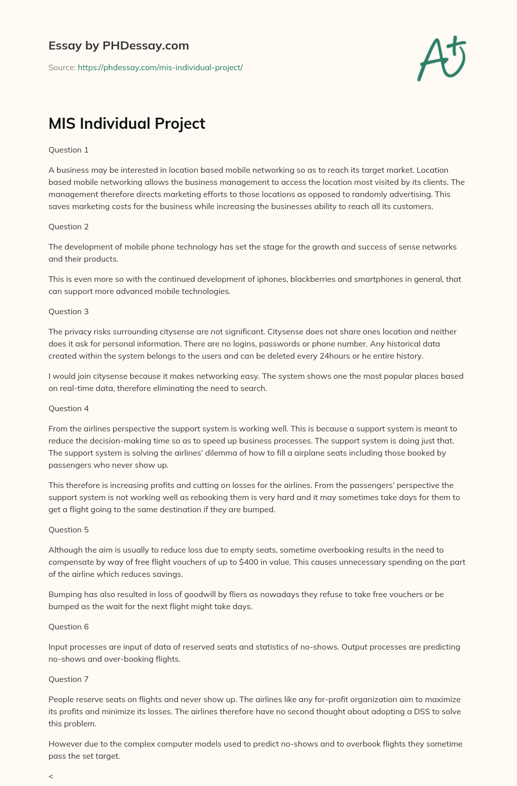MIS Individual Project essay