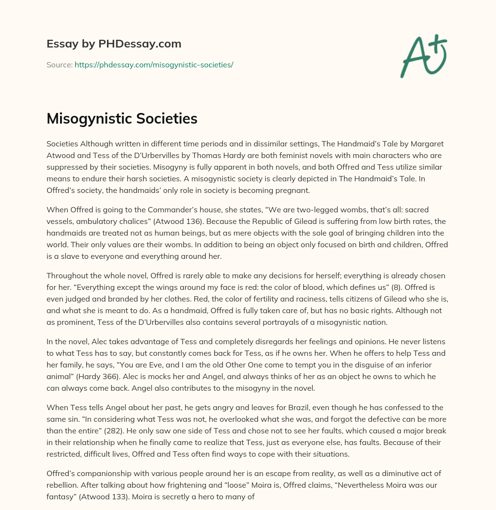 Misogynistic Societies essay