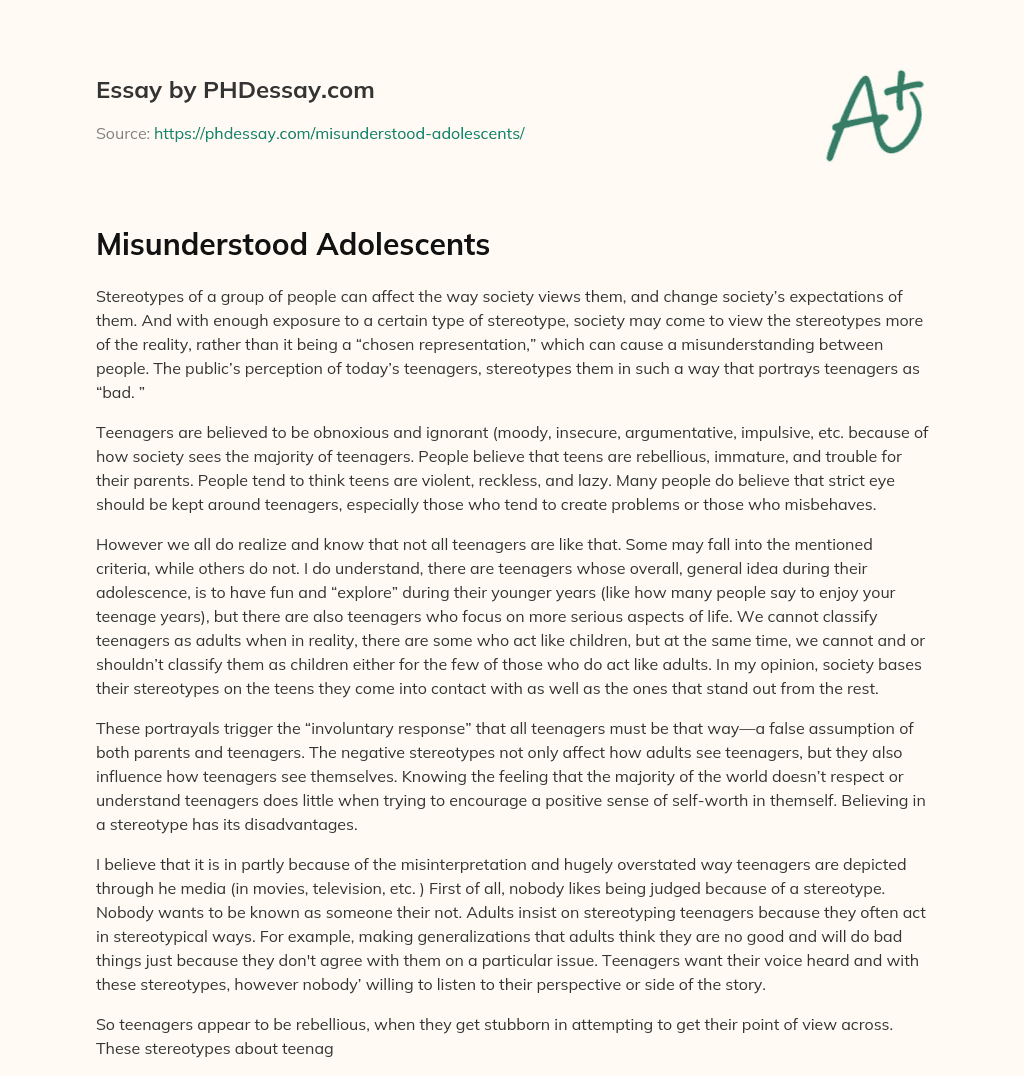 Misunderstood Adolescents essay