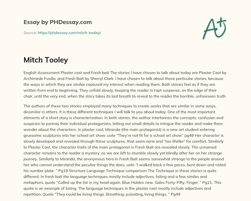 Mitch Tooley essay