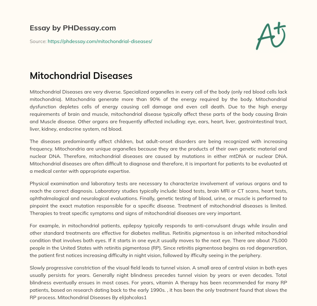 Mitochondrial Diseases essay
