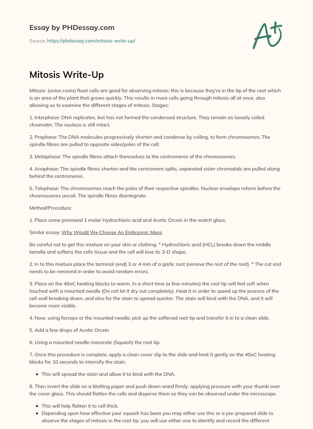 Mitosis Write-Up essay