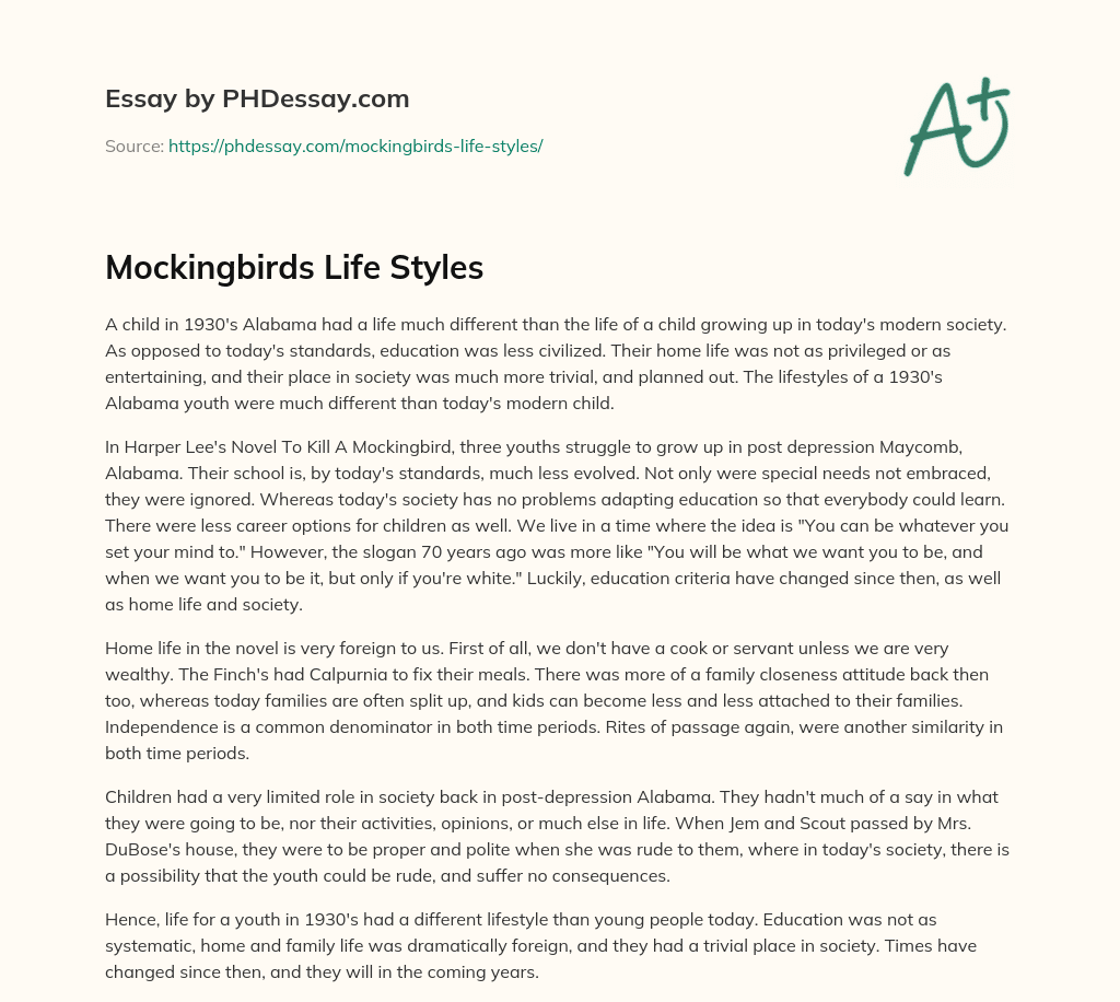 Mockingbirds Life Styles essay
