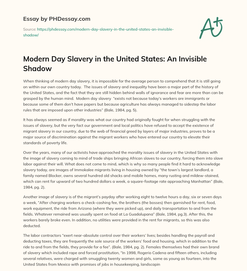 Modern Day Slavery in the United States: An Invisible Shadow essay