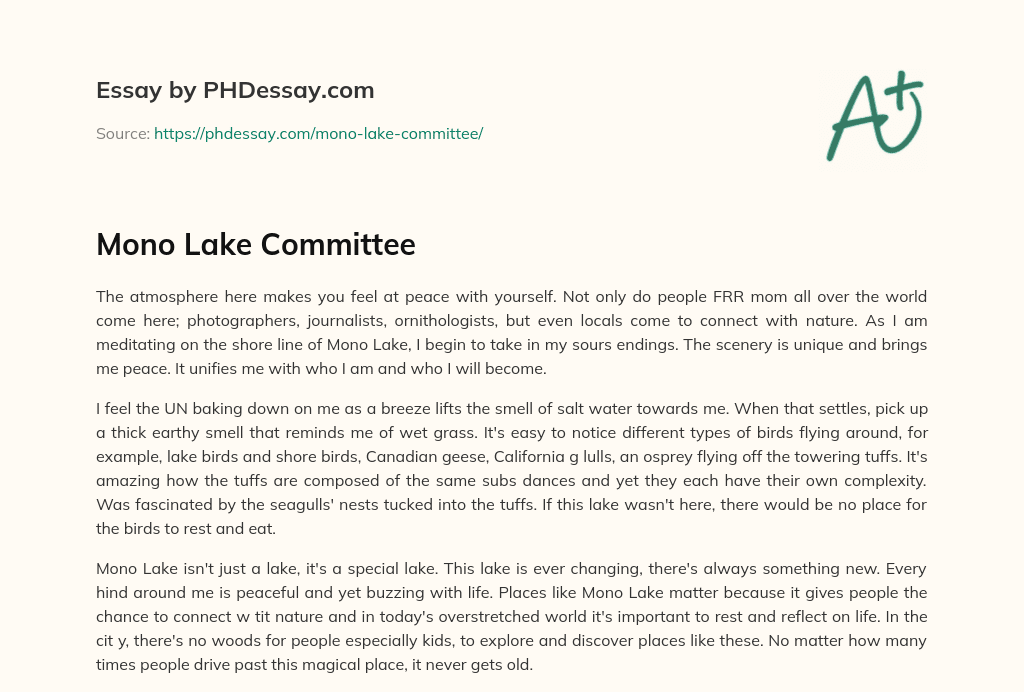 Mono Lake Committee essay