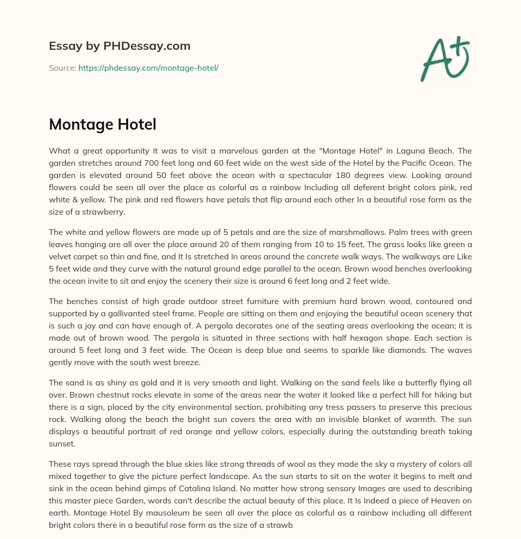 Montage Hotel essay