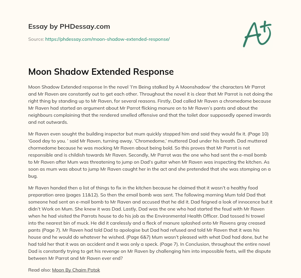 Moon Shadow Extended Response essay