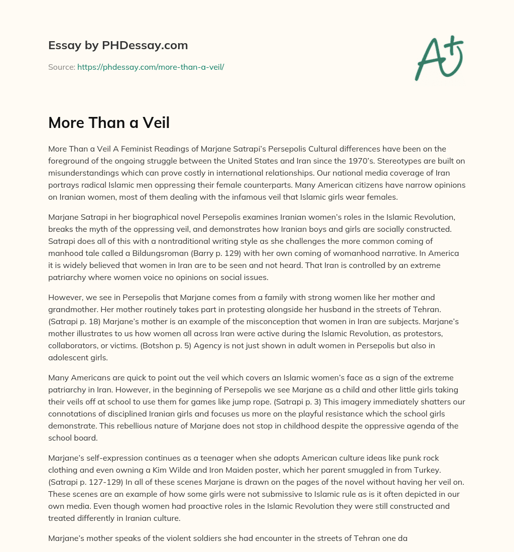 More Than a Veil essay