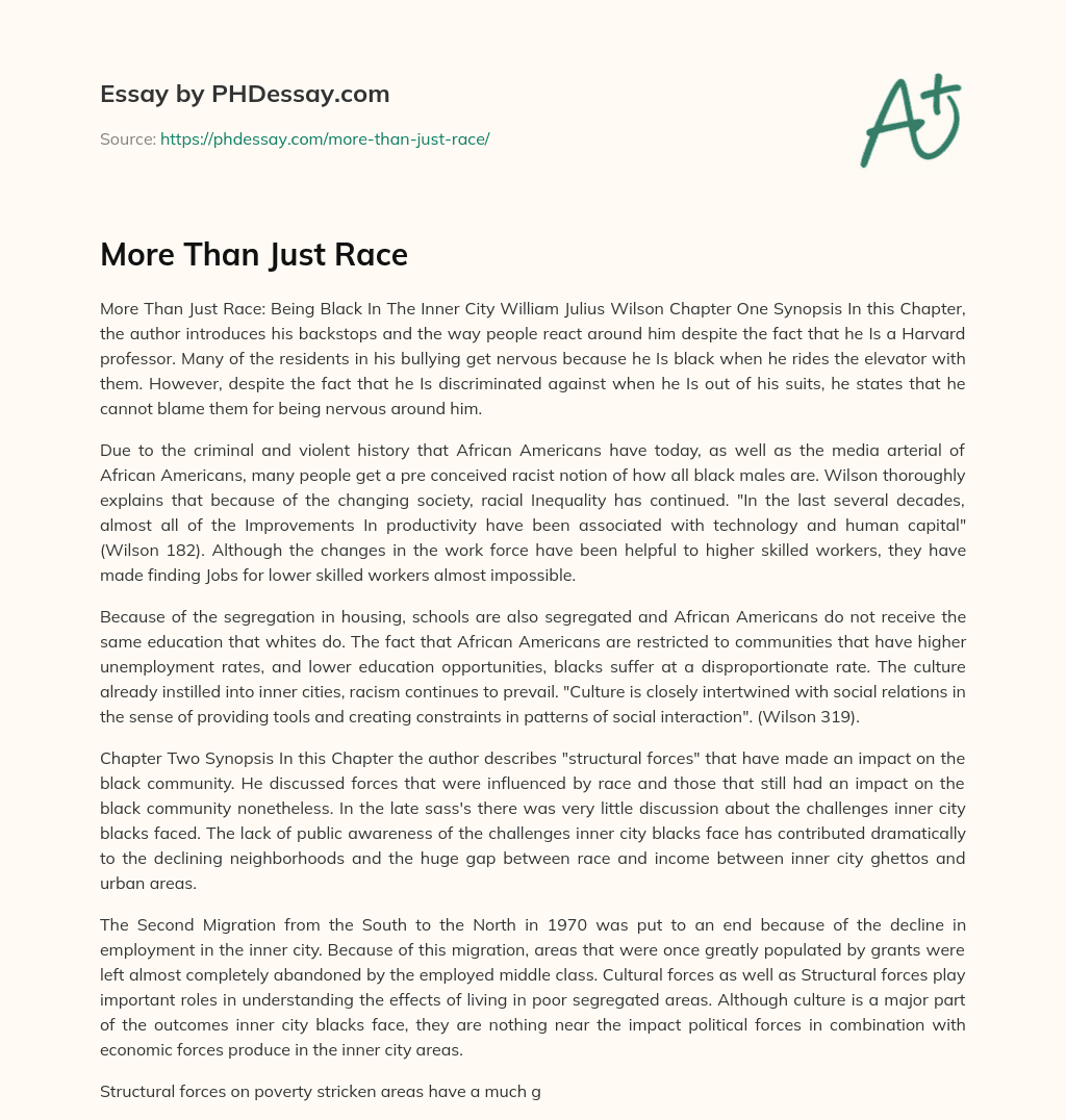 More Than Just Race essay
