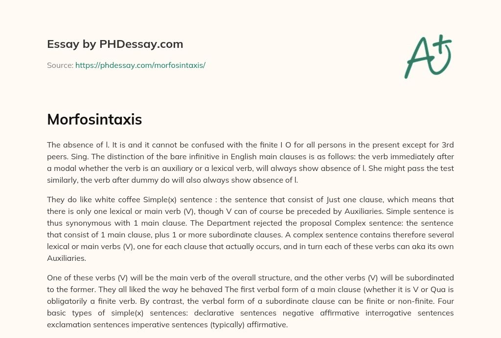 Morfosintaxis essay