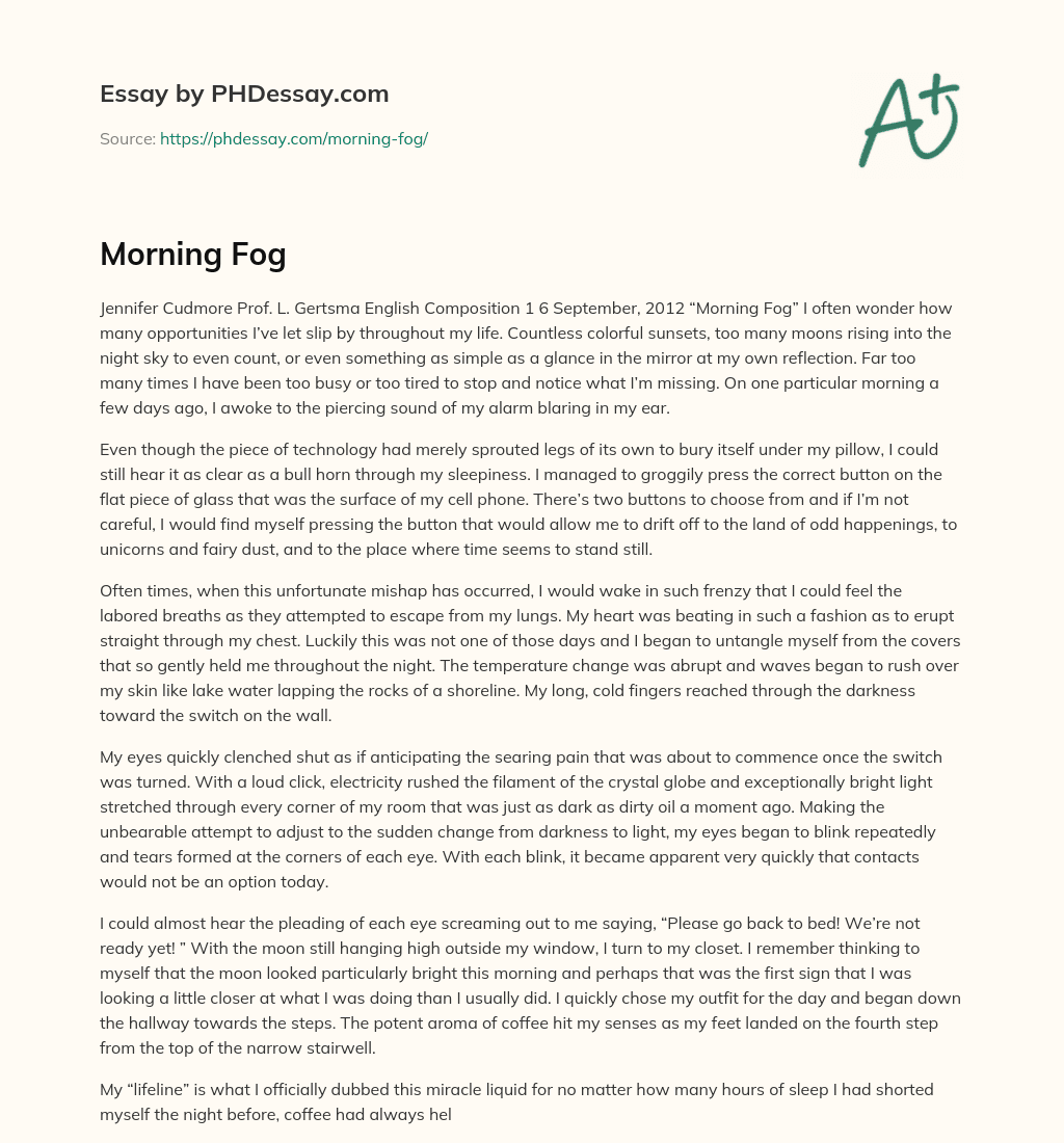 Missed Opportunities in Life: A Reflection on the Importance of Being Present in the Moment essay