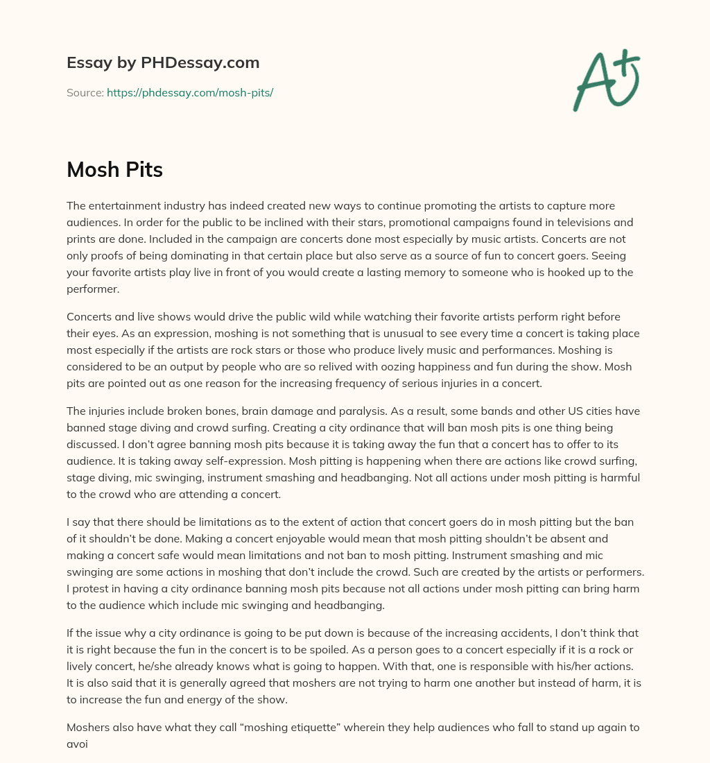The Dangers of Moshing at Concerts: Risks and Rewards of Live Performances essay