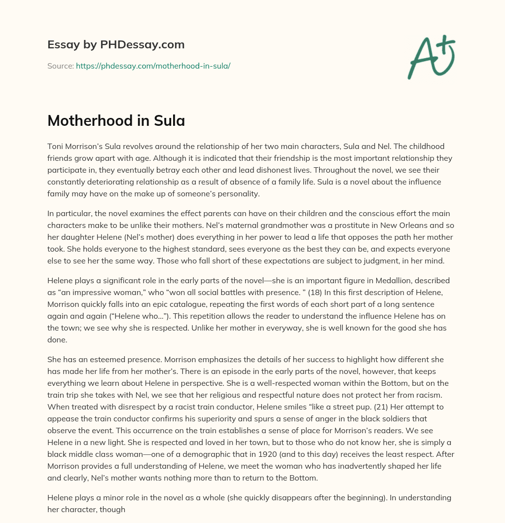 Motherhood in Sula essay