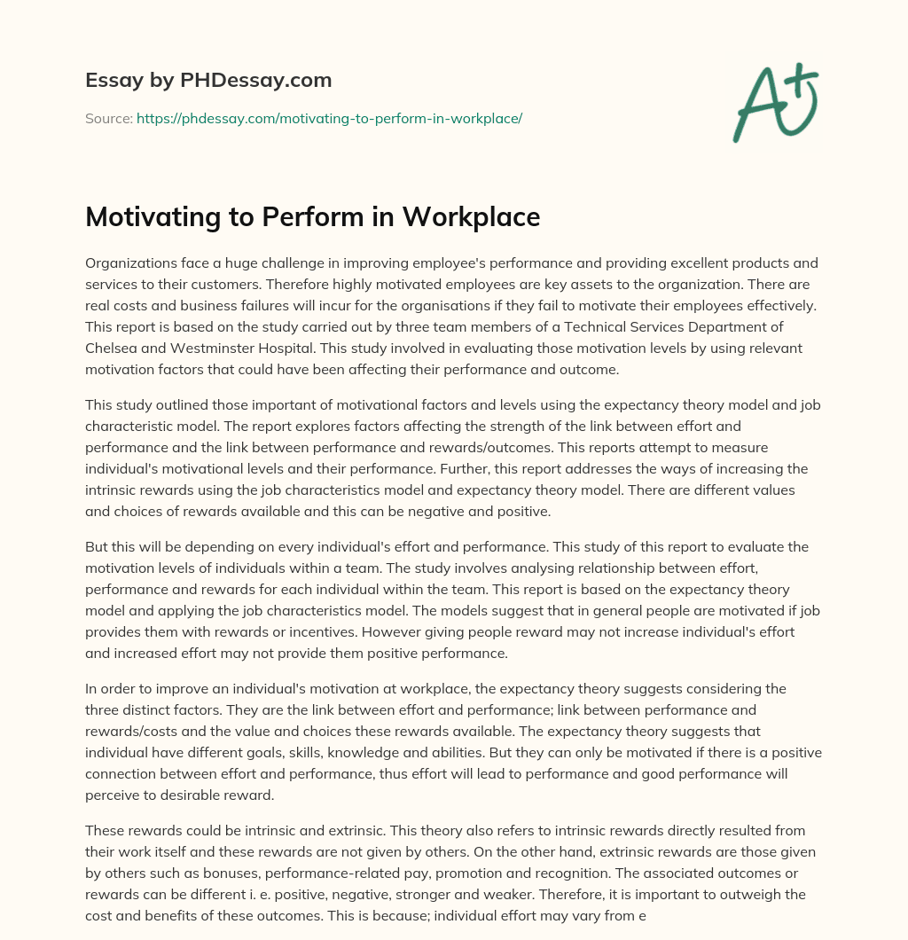 Motivating to Perform in Workplace essay