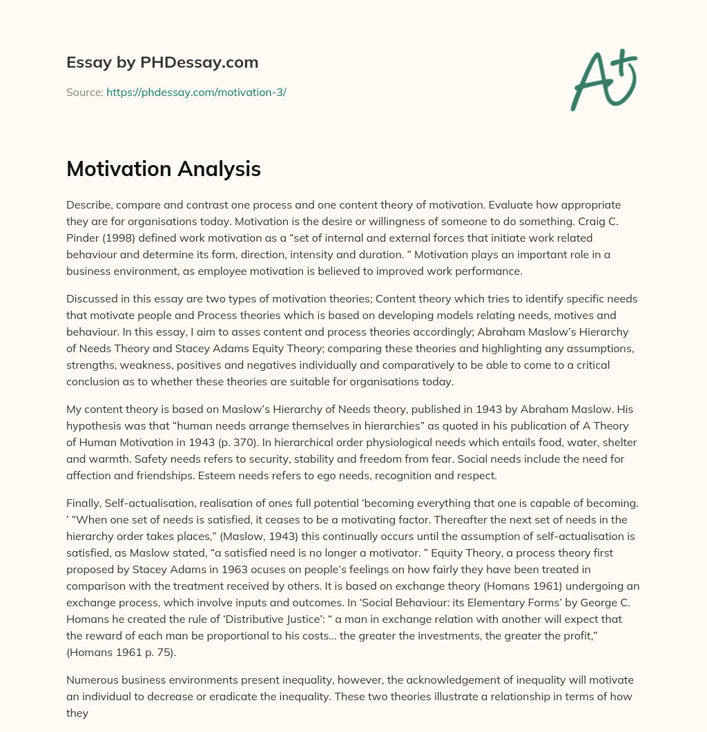 Motivation Analysis essay
