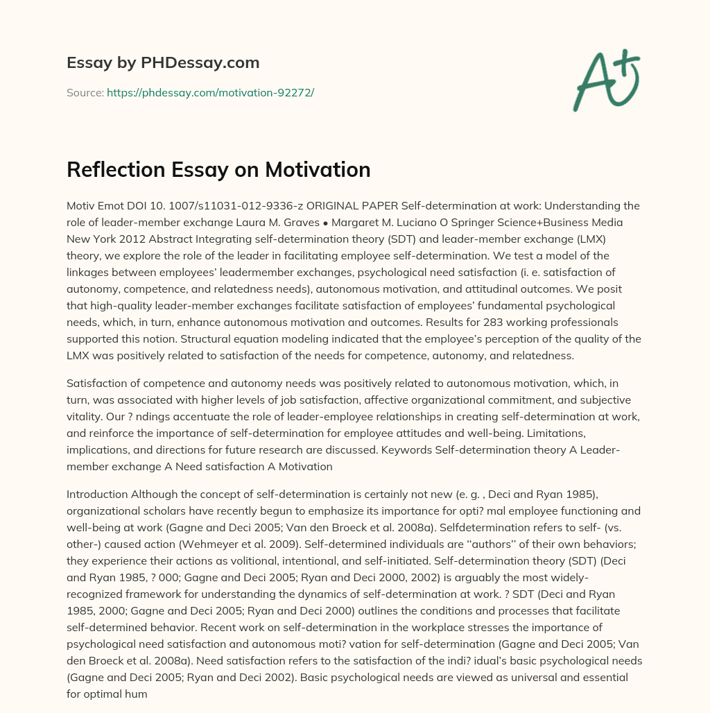 Reflection Essay on Motivation essay
