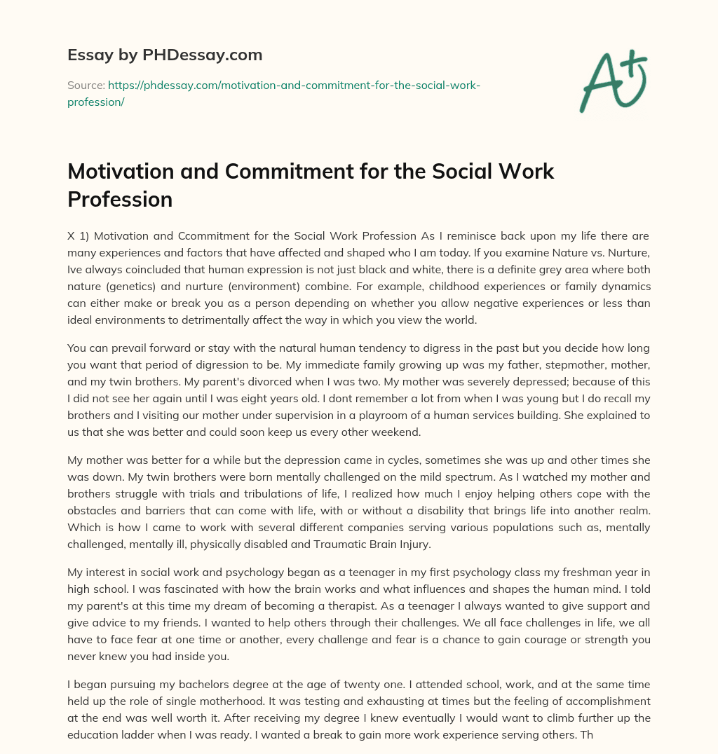 social work profession essay