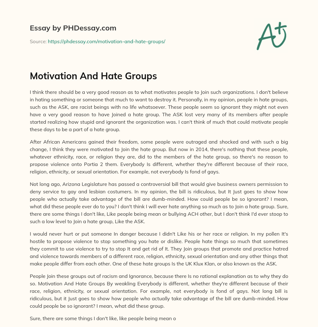 Motivation And Hate Groups essay