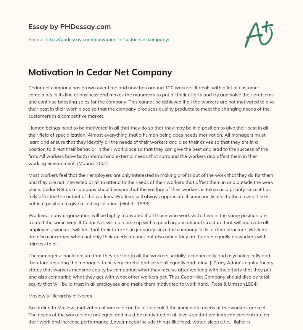 Motivation In Cedar Net Company essay