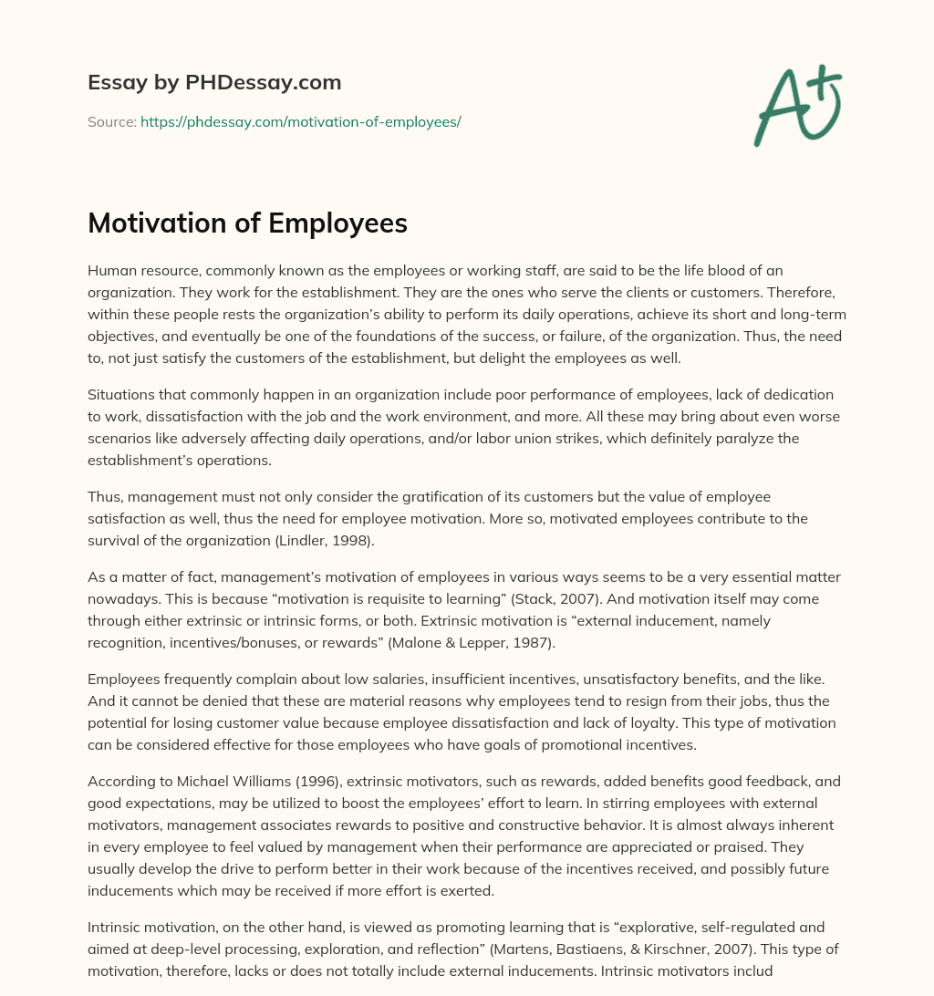 Motivation of Employees essay