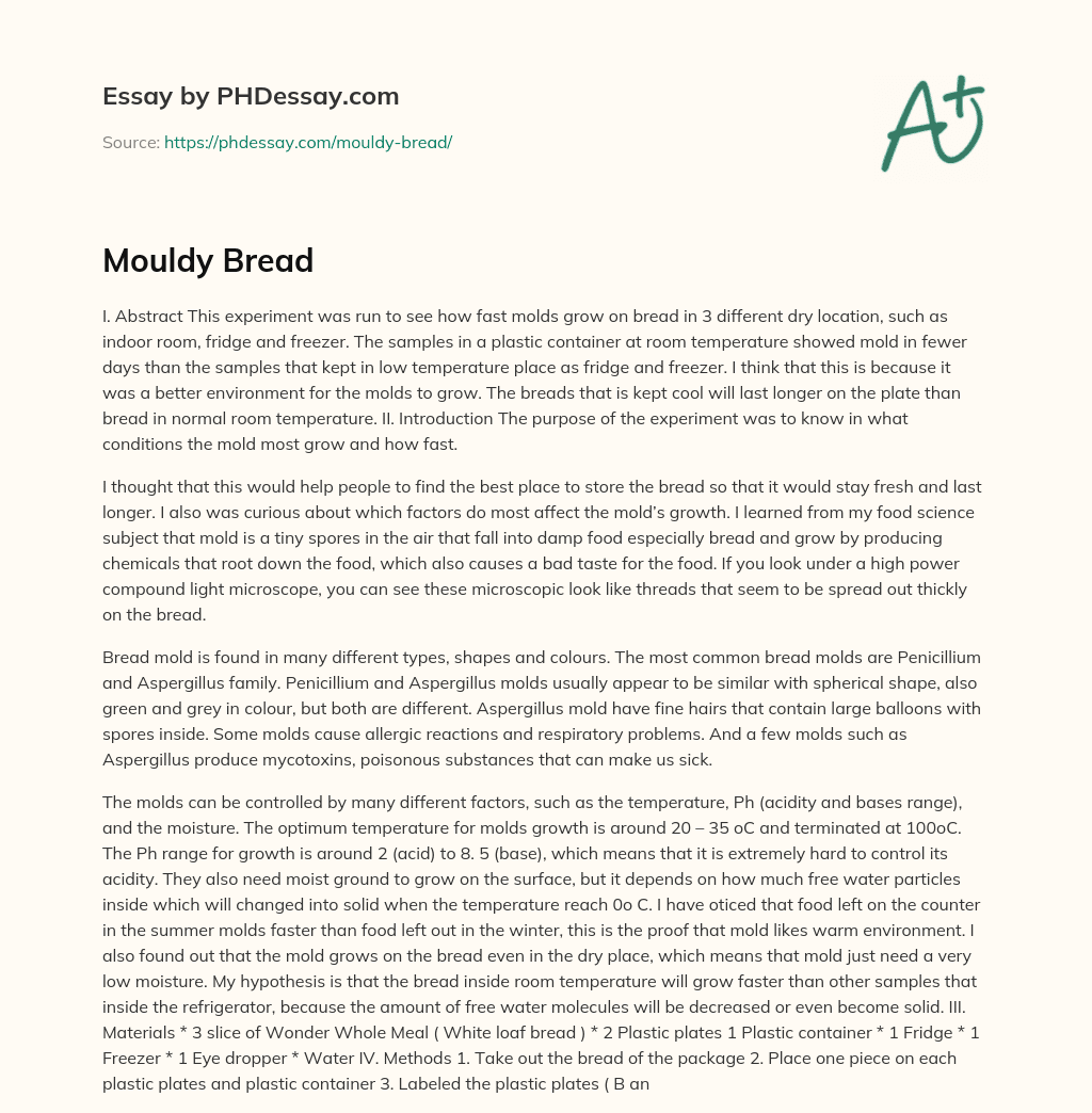 Mouldy Bread: The Progress of the Laboratory essay