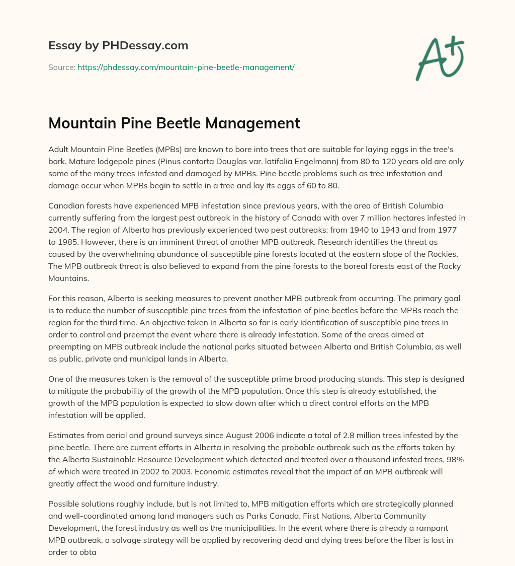Mountain Pine Beetle Management essay