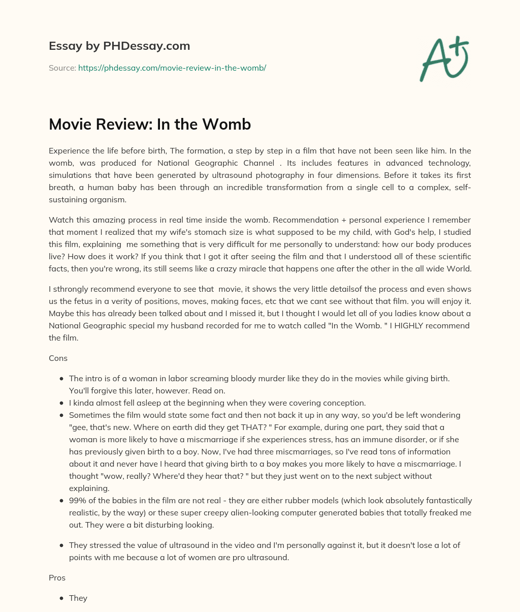 Movie Review: In the Womb essay