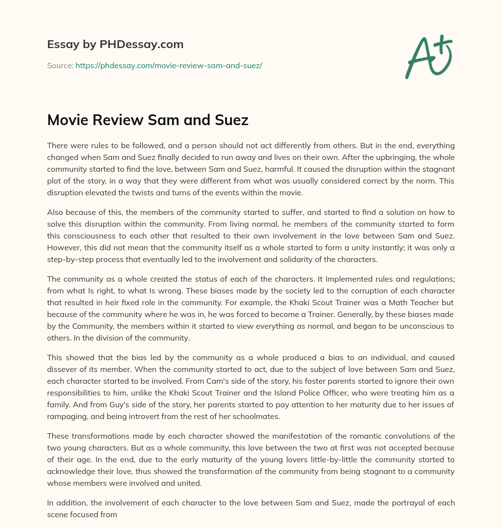 Movie Review Sam and Suez essay