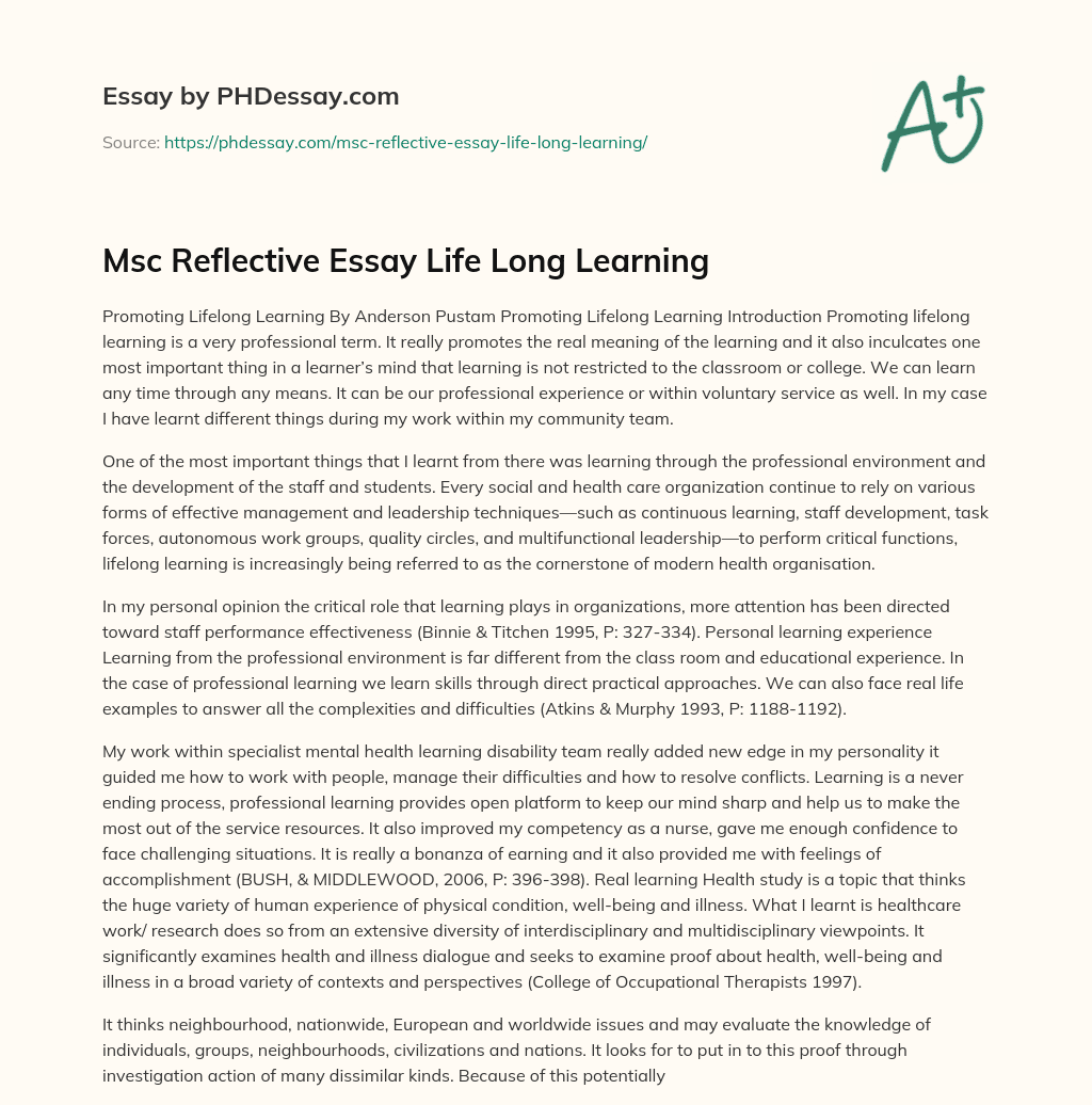 Msc Reflective Essay Life Long Learning essay