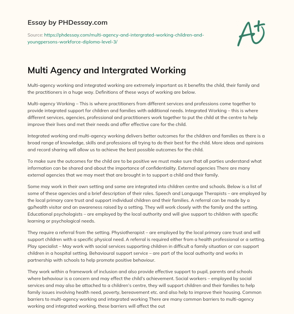 Multi Agency and Intergrated Working essay