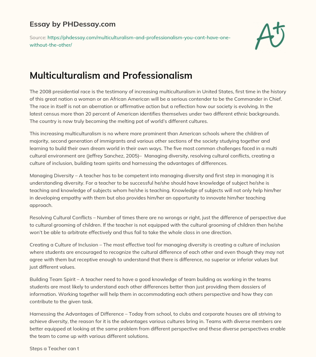 Multiculturalism and Professionalism essay