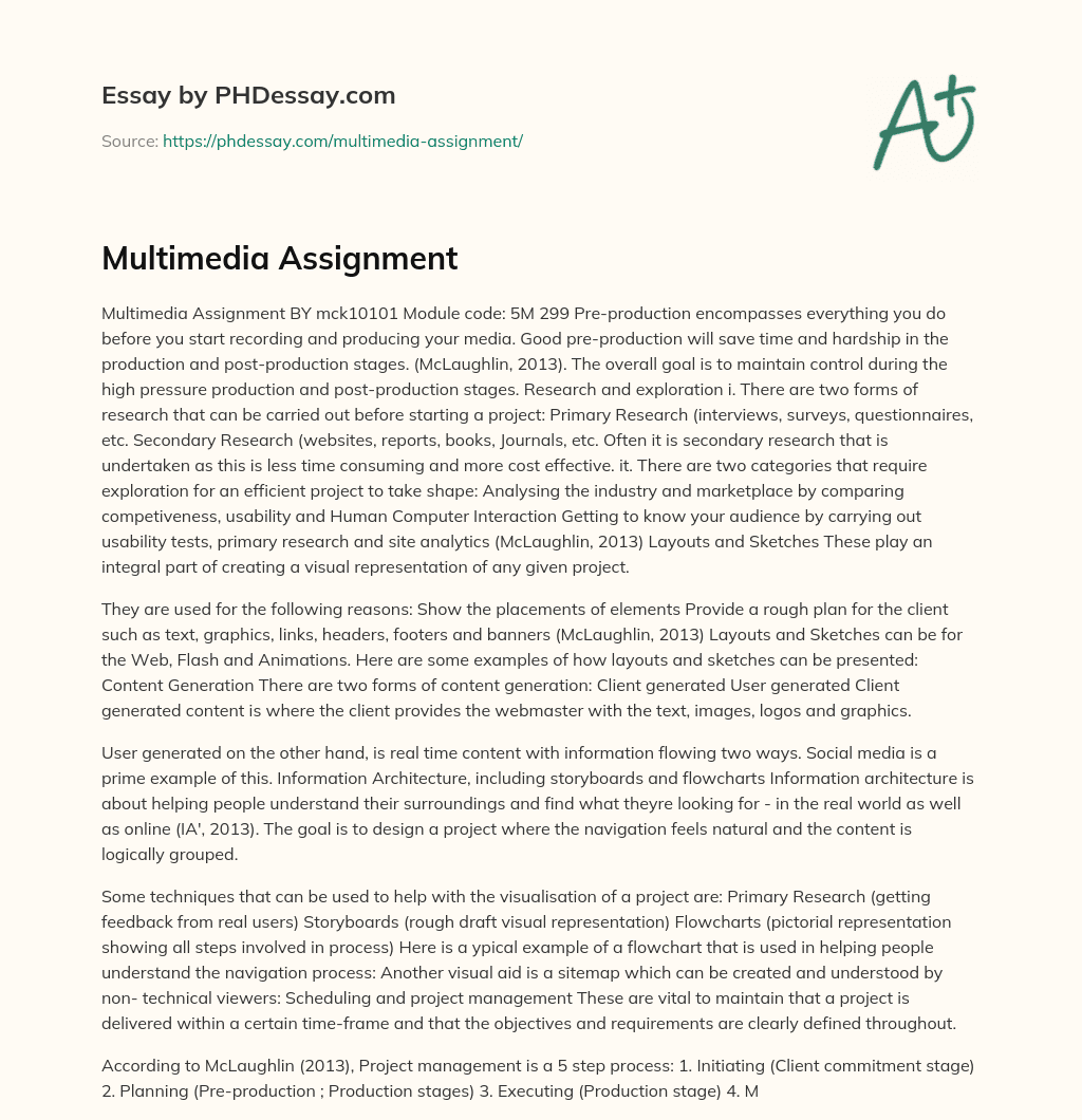 Multimedia Assignment essay