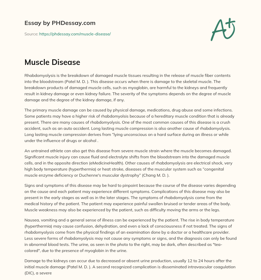 Muscle Disease essay
