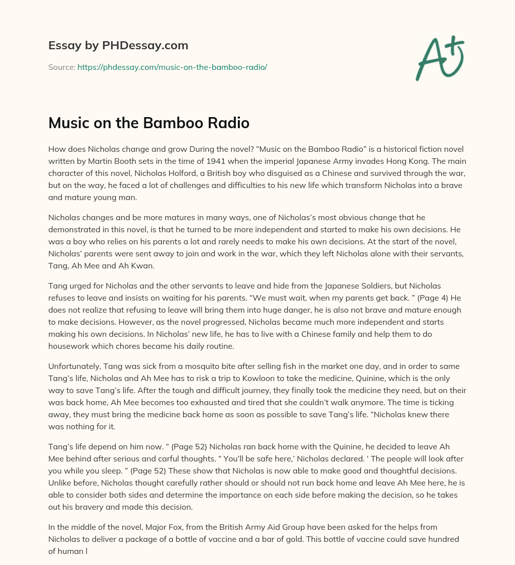 Music on the Bamboo Radio essay