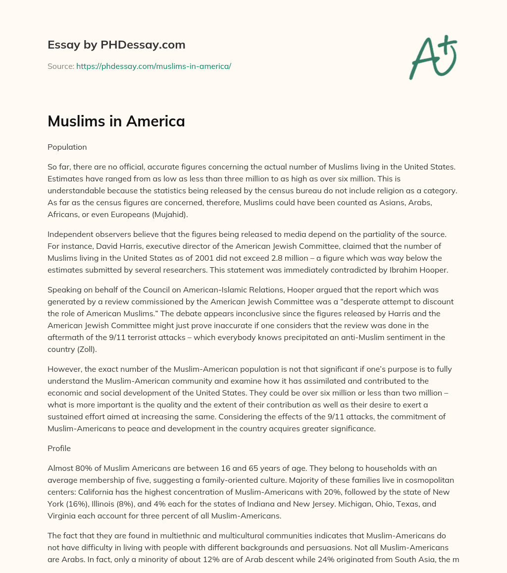 Muslims in America essay