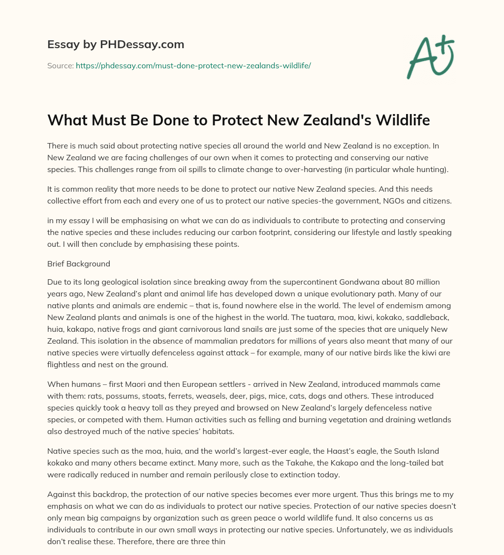 What Must Be Done to Protect New Zealand’s Wildlife essay