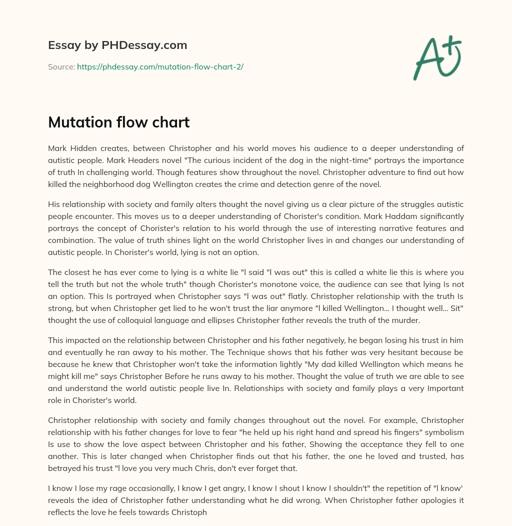 Mutation flow chart essay