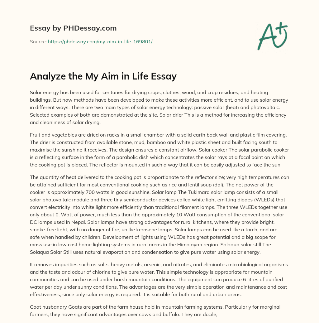 aim in life essay example