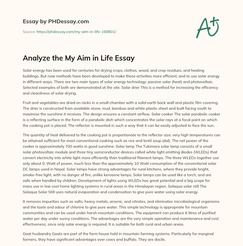 Analyze The My Aim In Life Essay PHDessay